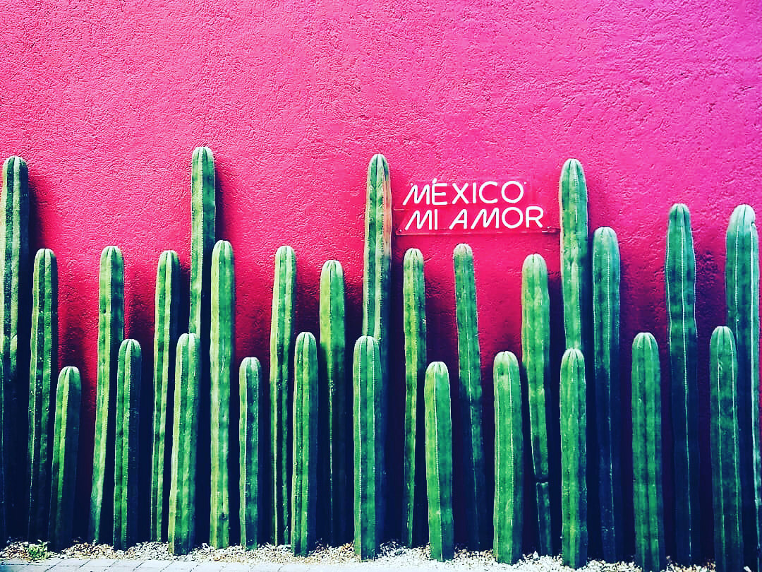 f:id:nico__vida:20200821024055j:plain