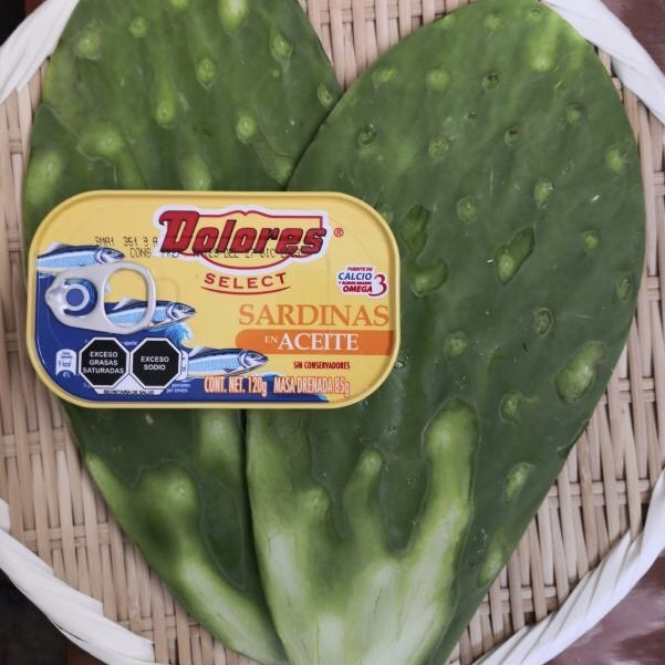 人気アイテムランキング Nopal・うちわサボテンの和食ミックスレシピ - Milと0 サボテン