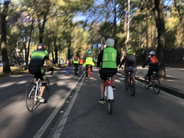 f:id:nico__vida:20210405112230j:plain