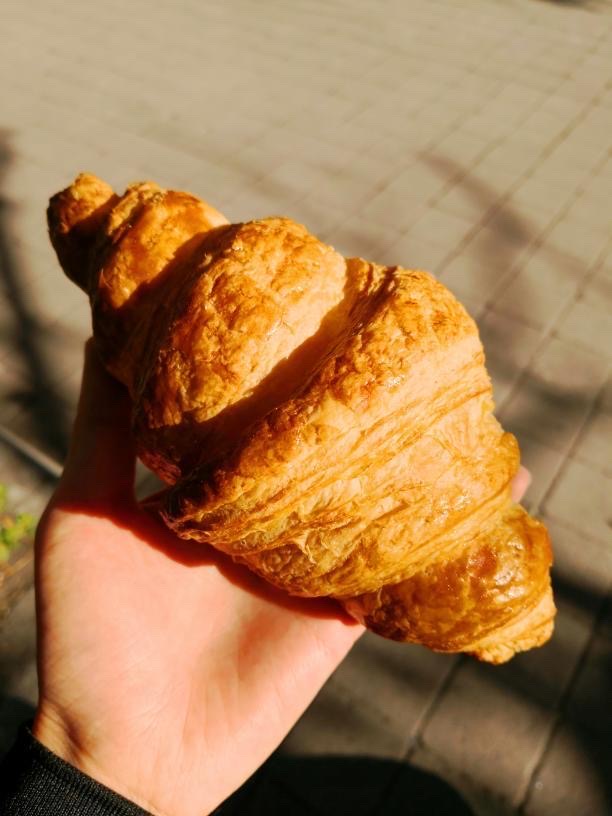 f:id:nico__vida:20210405234341j:plain