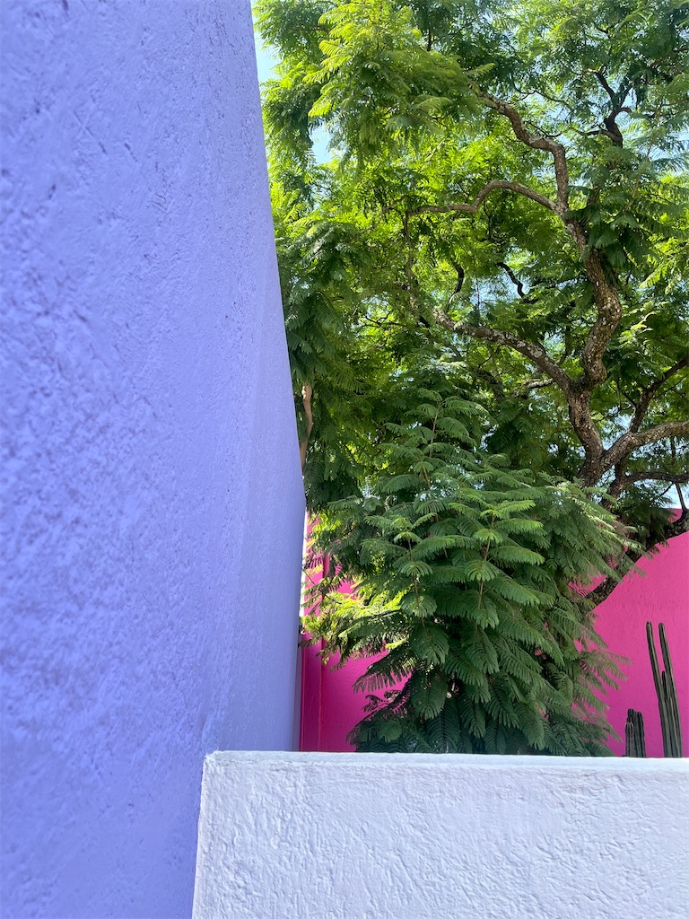 f:id:nico__vida:20250930125454j:image