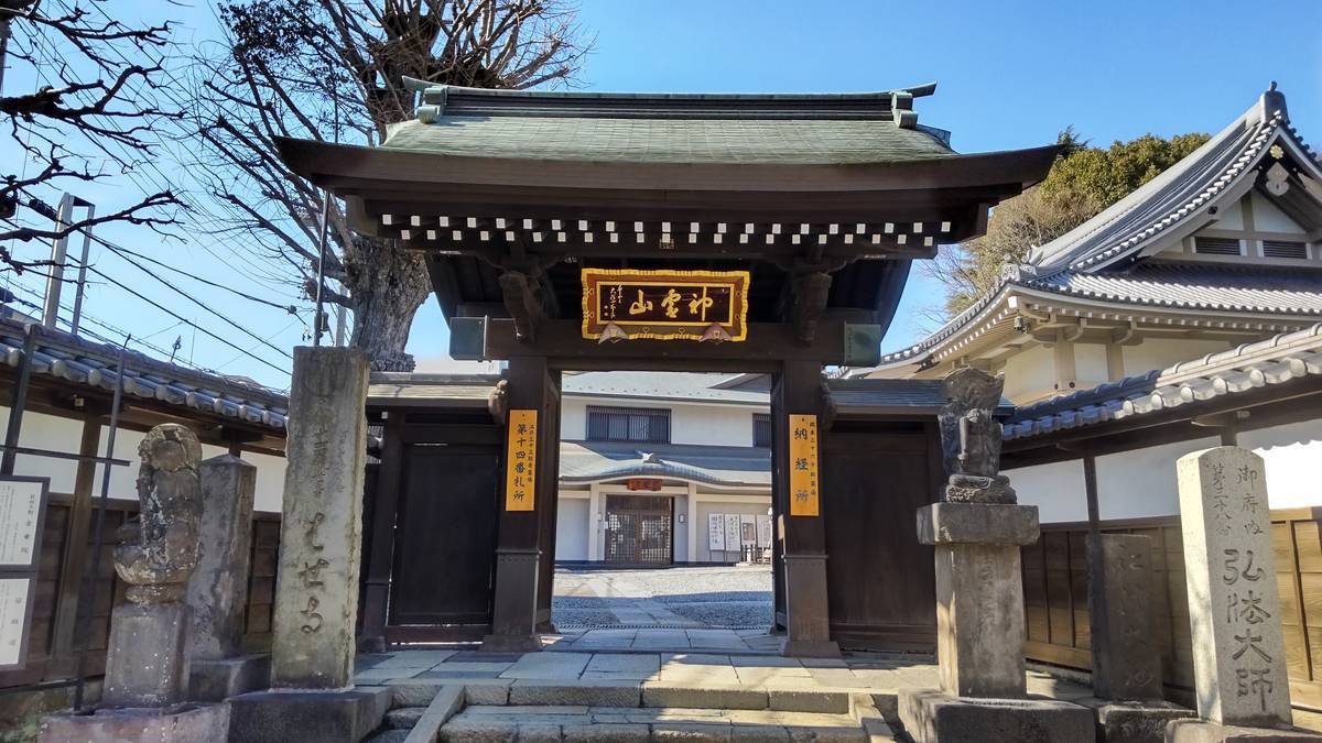 臨済宗法燈派 興国寺150世 孤峰軒 目黒絶海「東籬佳秋色」掛軸 O-57 興国寺 - SHINDEN