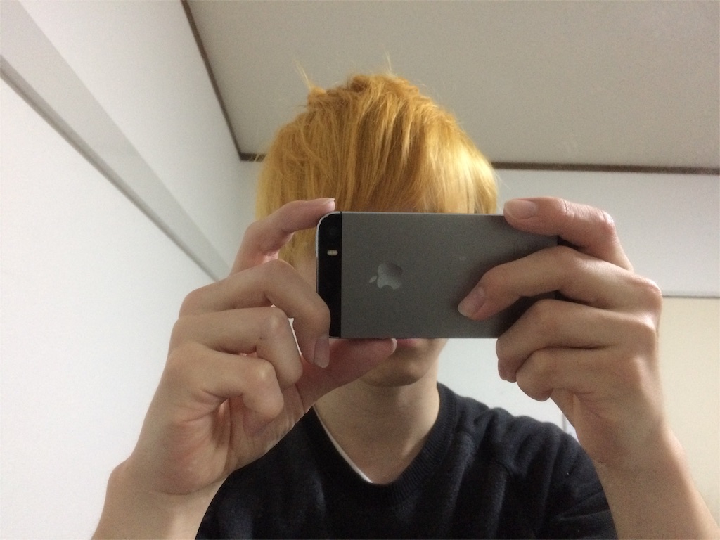 f:id:nicoichinu:20161217013407j:plain f:id:nicoichinu:20161217013407j:plain