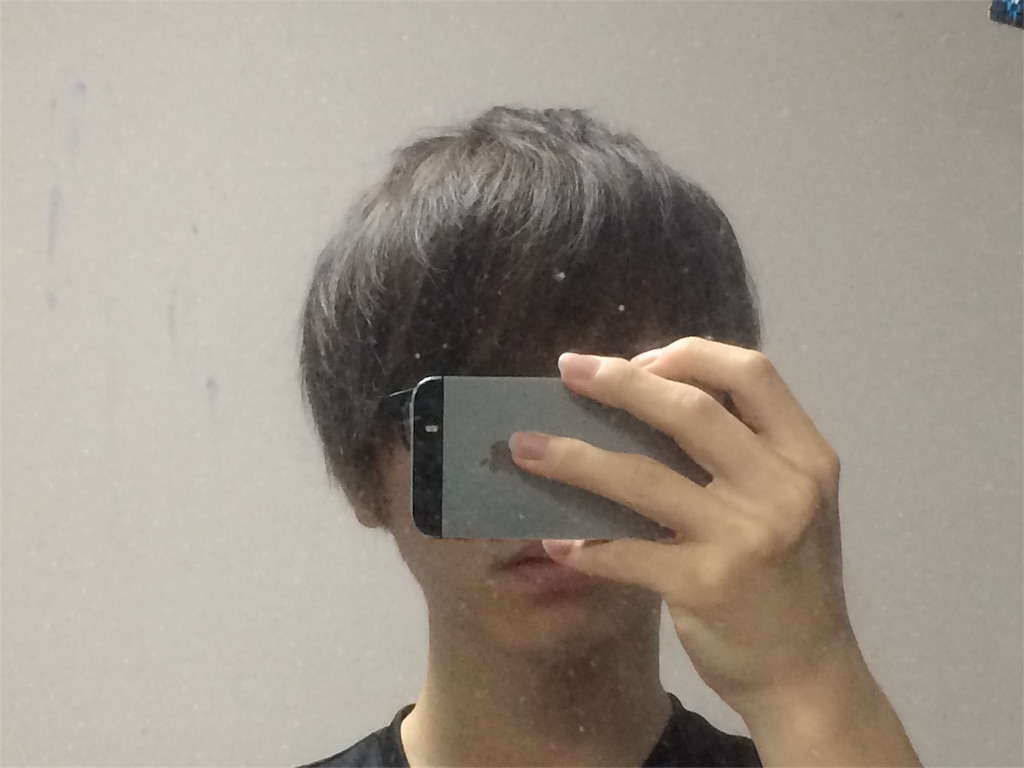 f:id:nicoichinu:20161225182608j:image f:id:nicoichinu:20161225182608j:image