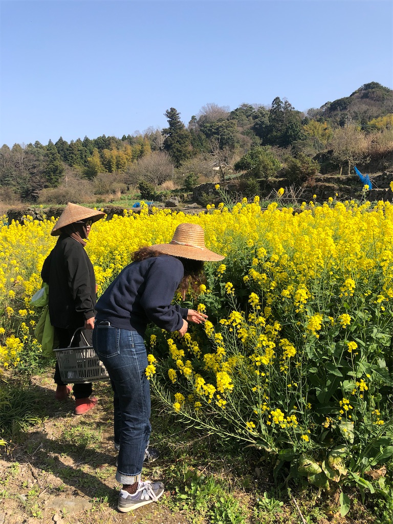 f:id:nicoile214:20200330082448j:image