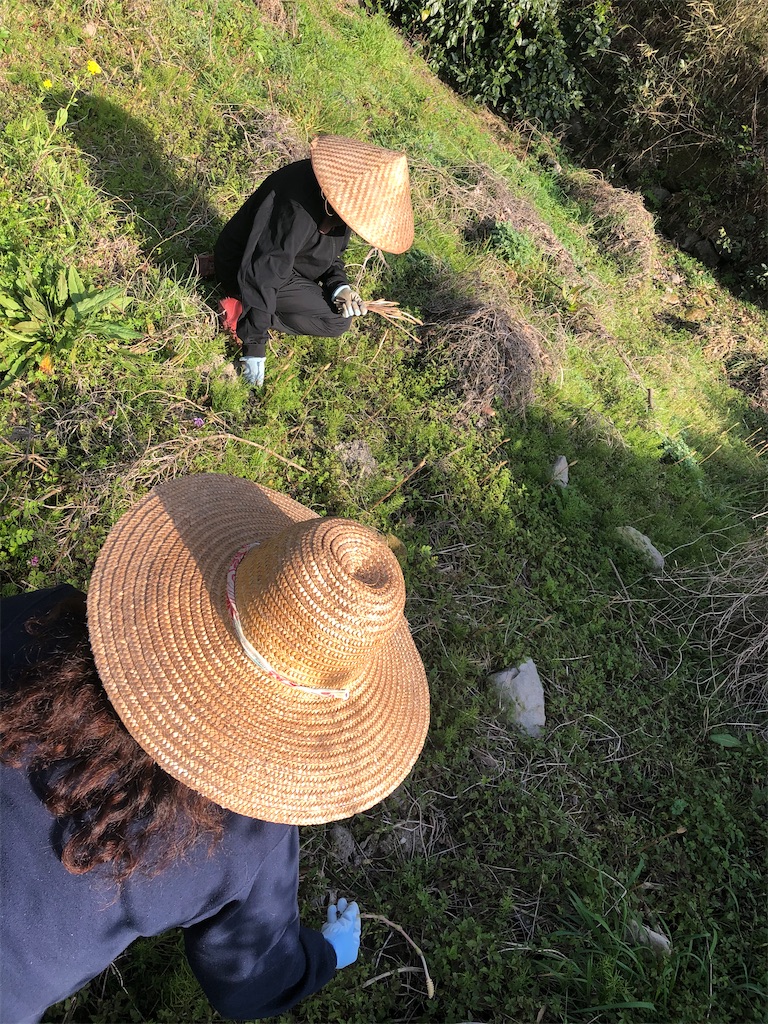 f:id:nicoile214:20200330082536j:image