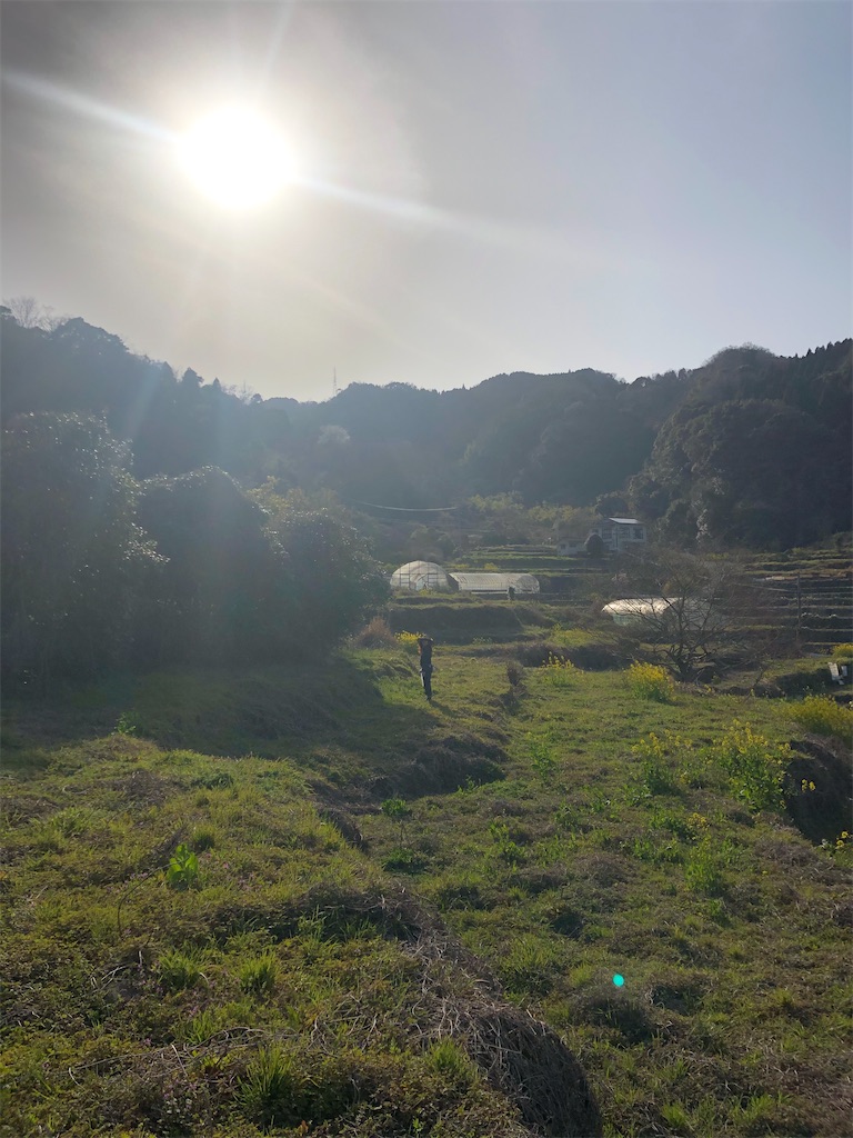 f:id:nicoile214:20200330082636j:image