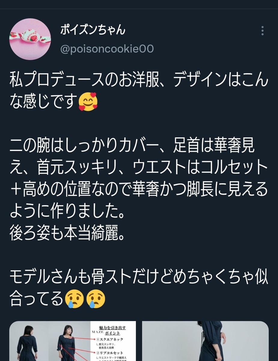 ポイズンちゃんの炎上にみるインフルエンサーの敵 ひとりごと