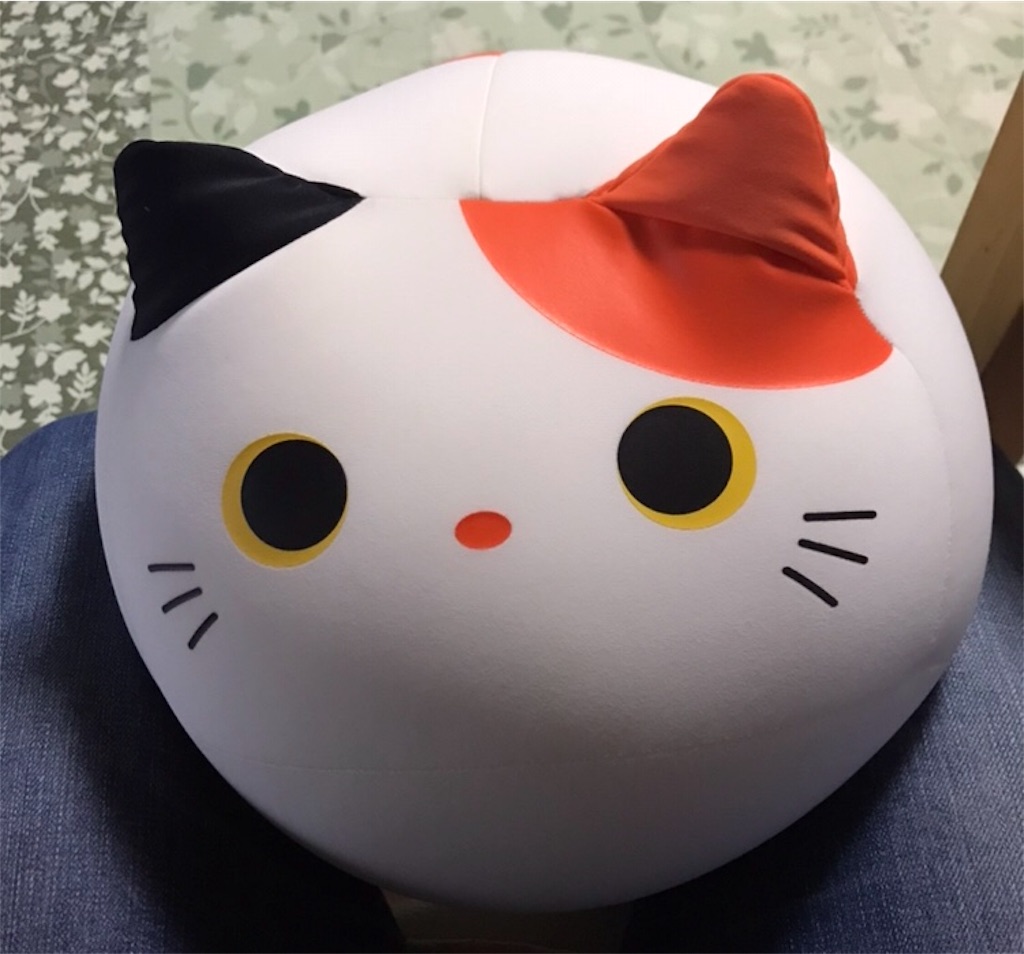 f:id:nicolaspolice:20190915101627j:plain