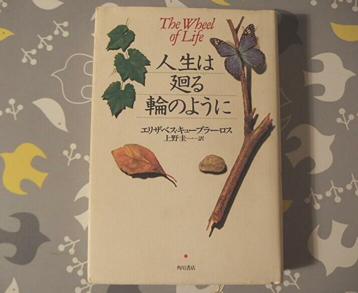 f:id:nicomari:20190509200725j:plain