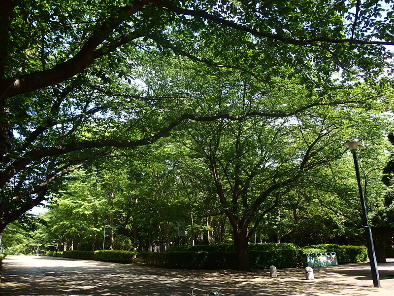 f:id:nicomari:20190517193230j:plain