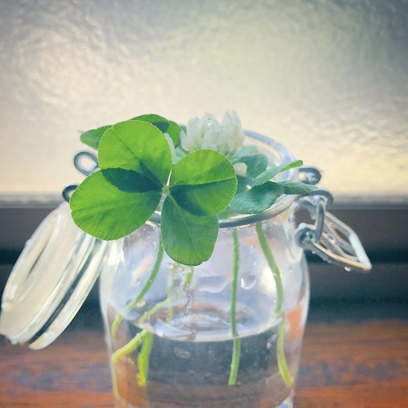 f:id:nicomari:20190523210147j:plain