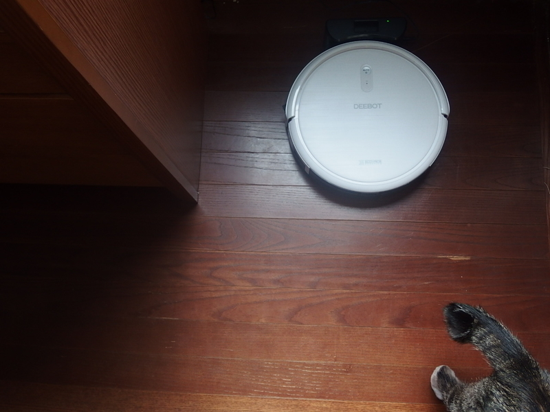 f:id:nicomari:20190530165832j:plain