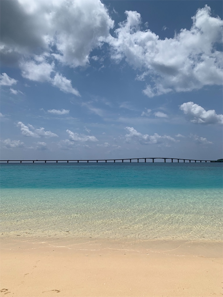 f:id:niconchang:20190519171524j:image f:id:niconchang:20190519171524j:image