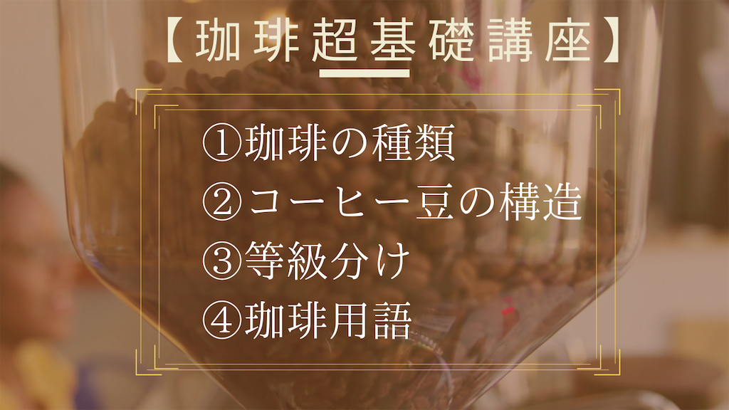 f:id:niconchang:20200618212418p:image