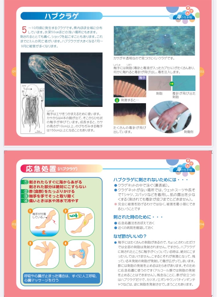 f:id:niconchang:20200807220905j:image