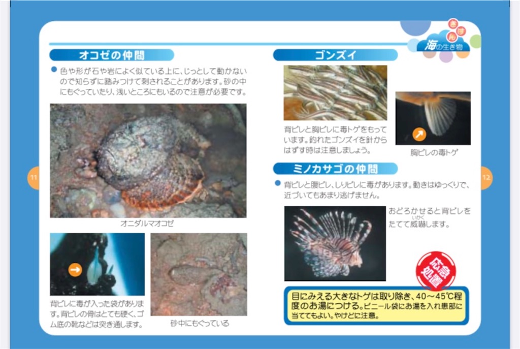 f:id:niconchang:20200807220959j:image