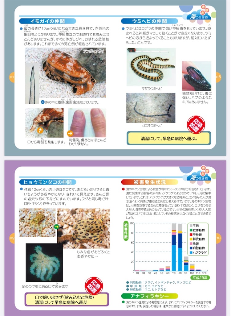 f:id:niconchang:20200807221208j:image