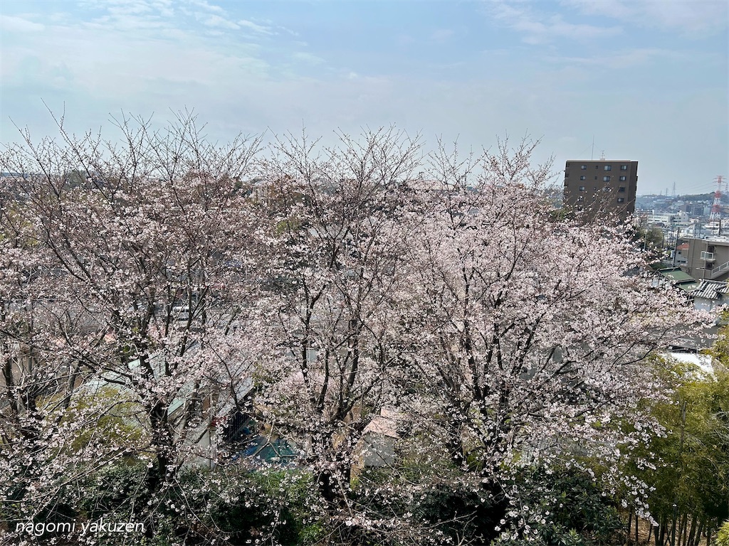 f:id:niconico-happy:20260330142854j:image