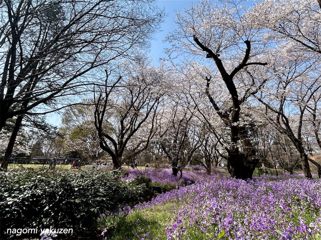 f:id:niconico-happy:20260411164427j:image