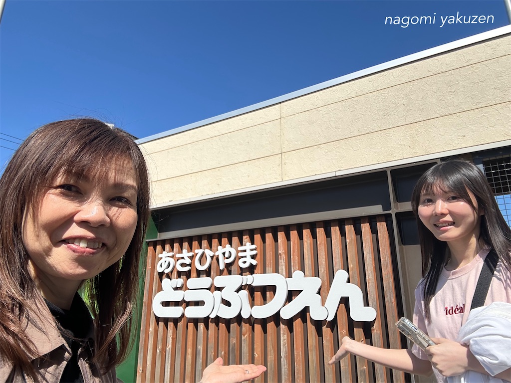f:id:niconico-happy:20260517153405j:image