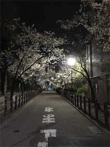 f:id:niconicopianolesson:20160401081027j:image f:id:niconicopianolesson:20160401081027j:image