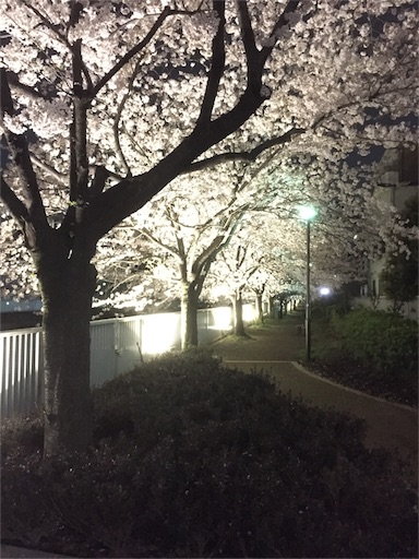 f:id:niconicopianolesson:20160407072808j:image f:id:niconicopianolesson:20160407072808j:image