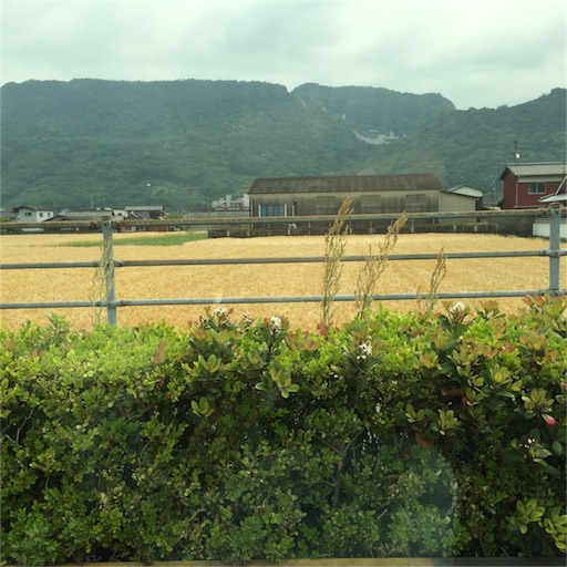 f:id:niconicopianolesson:20160507142321j:image f:id:niconicopianolesson:20160507142321j:image