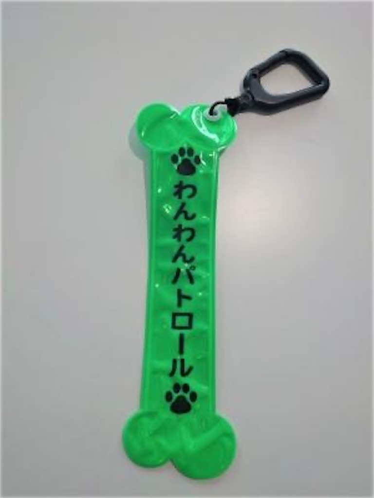 f:id:niconicousausa:20260601200136j:image