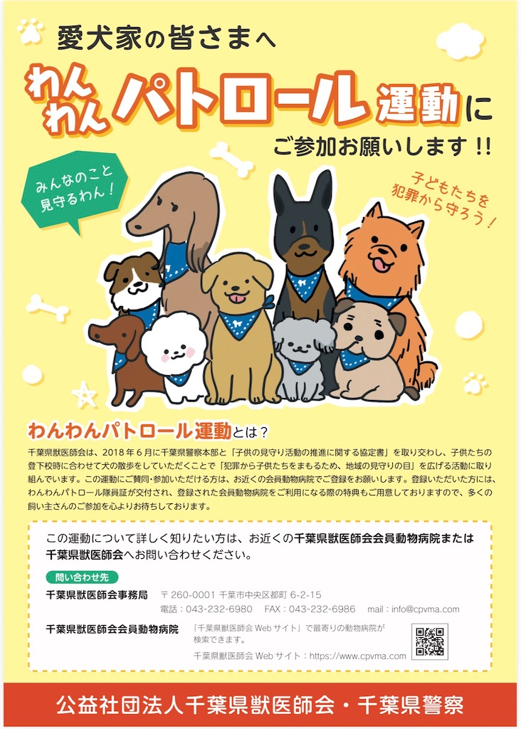 f:id:niconicousausa:20260601200329j:image