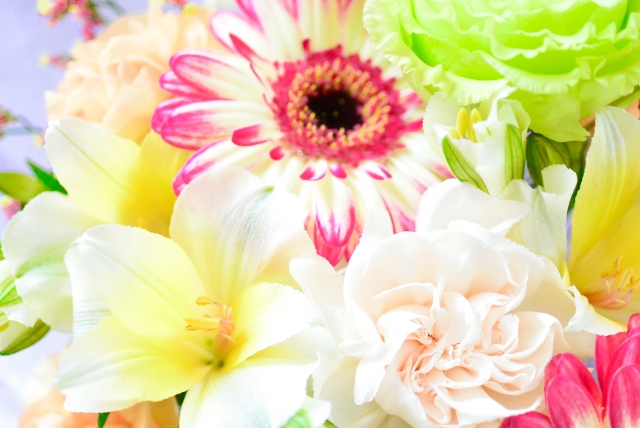 f:id:nicoora1:20210423222638j:plain