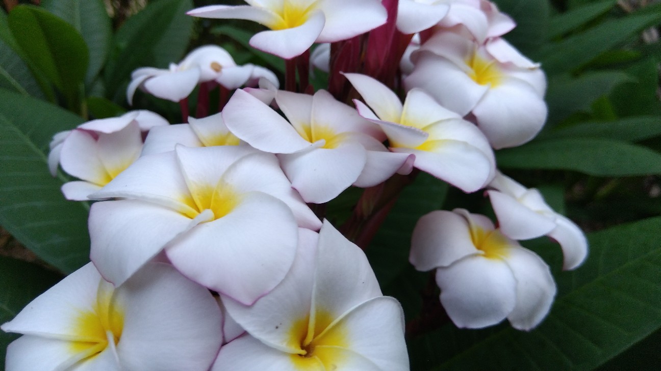 f:id:nicopi3104:20260719184107j:image f:id:nicopi3104:20260719184107j:image