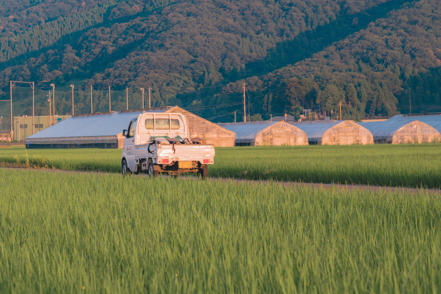 Z 5、NIKKOR Z MC 105mm f/2.8 VR S