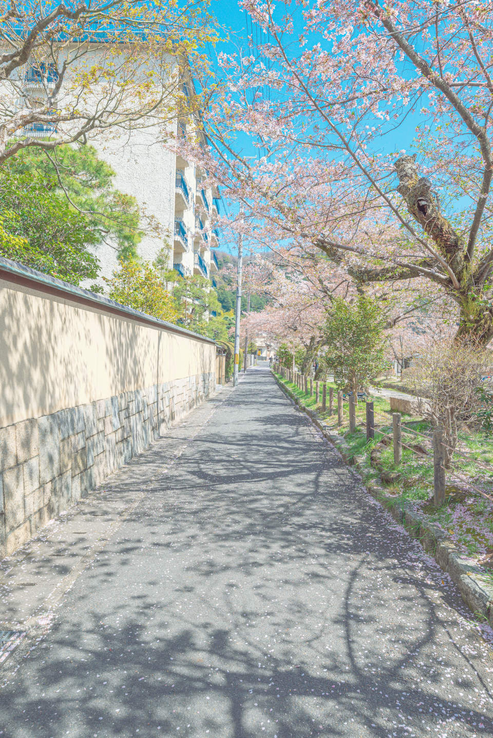 Z 5、NIKKOR Z 14-24mm f/2.8 S