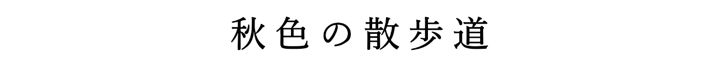 日本の四季を届けるフォトレター – 秋の「季語」に想いを馳せて by Akine Coco