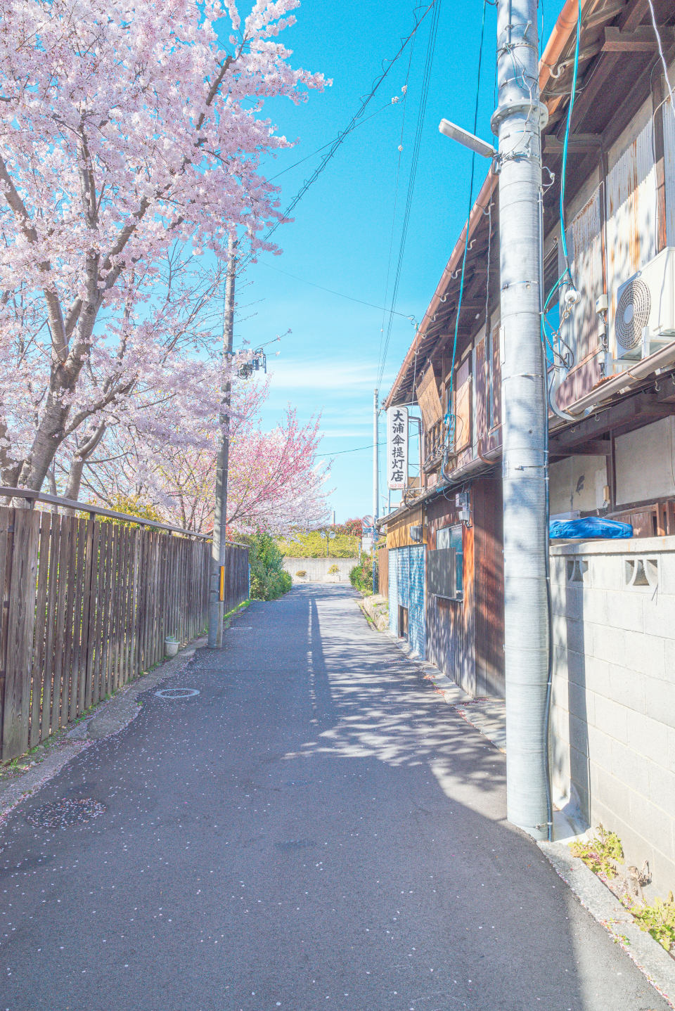 Z 5、NIKKOR Z 24-70mm f/2.8 S