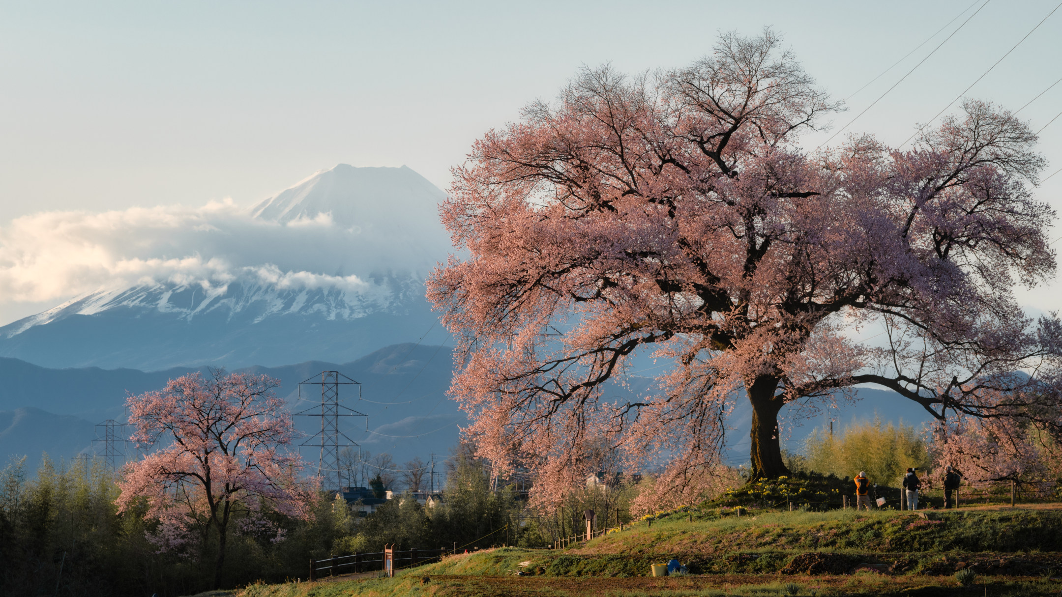 春本番！桜のオススメ撮影スポット９選 – 絶景・夜桜・穴場…カテゴリ別ベスト３と魅力的に写すポイント