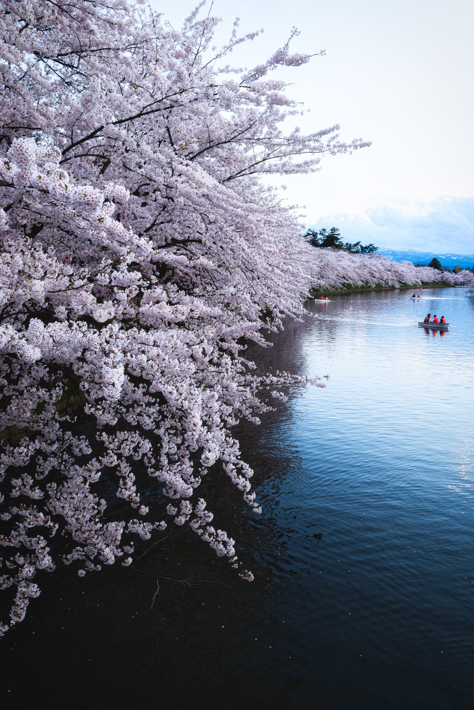 D800、AF-S NIKKOR 24-70mm f/2.8G ED