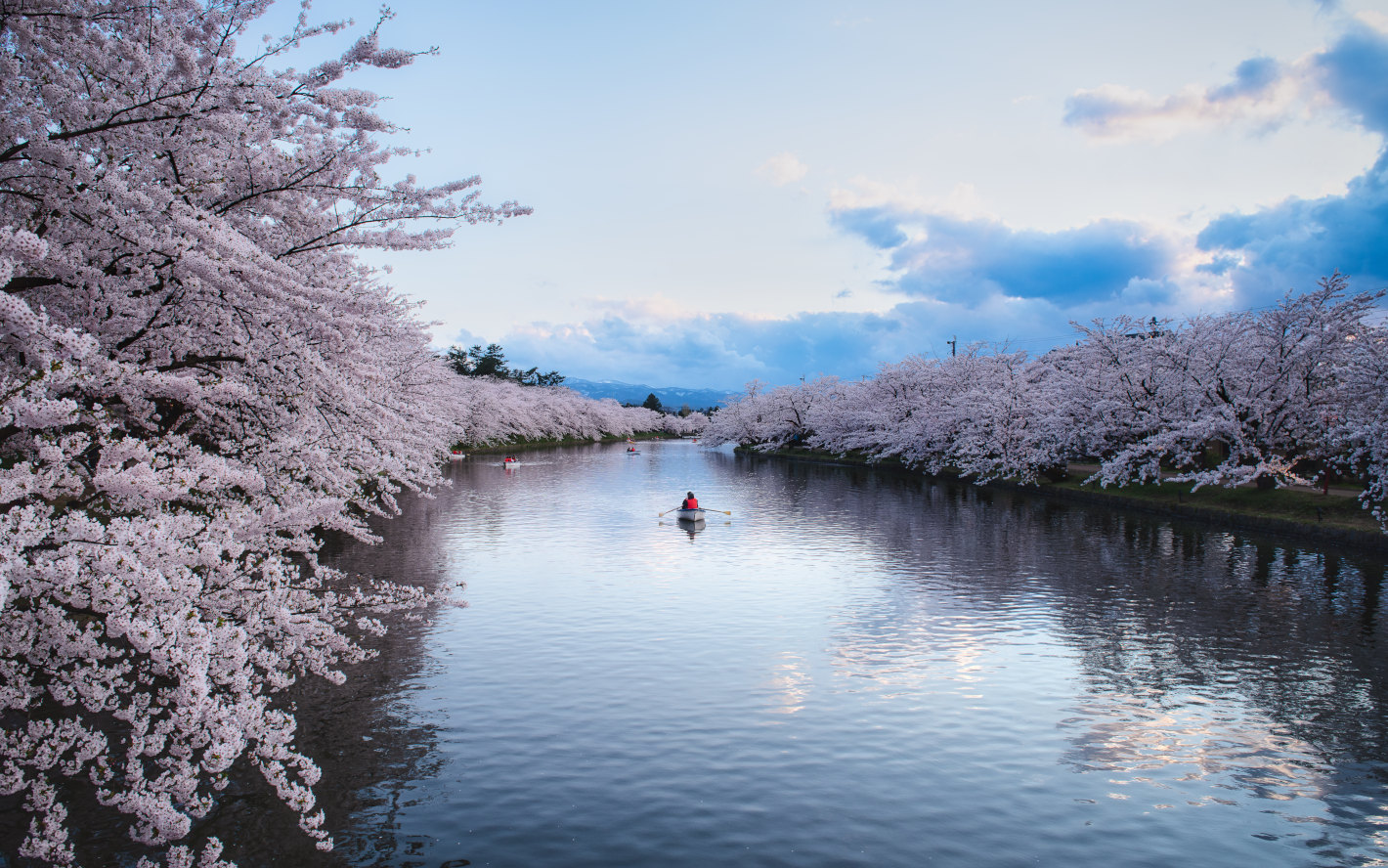 D800、AF-S NIKKOR 24-70mm f/2.8G ED