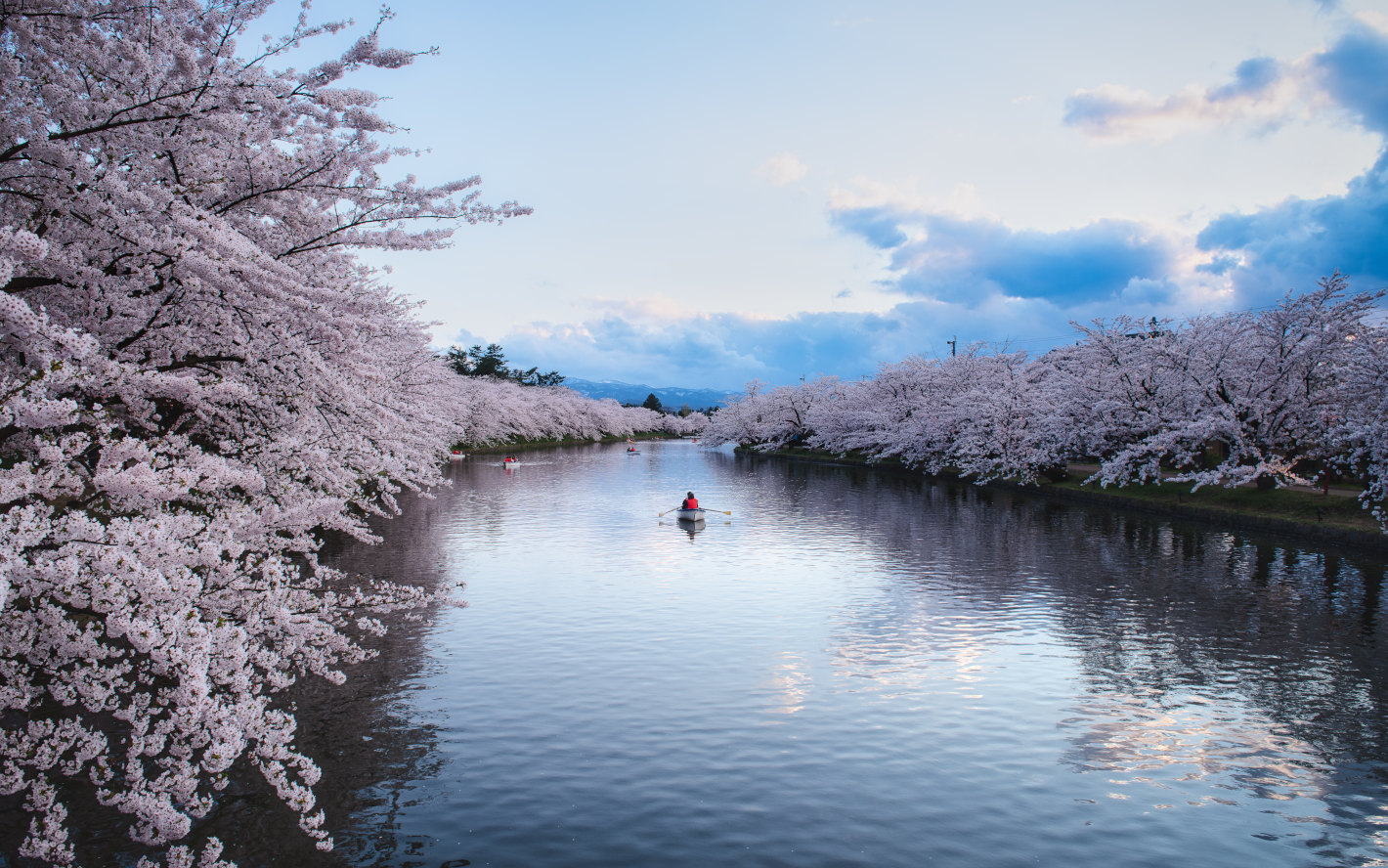 D800、AF-S NIKKOR 24-70mm f/2.8G ED