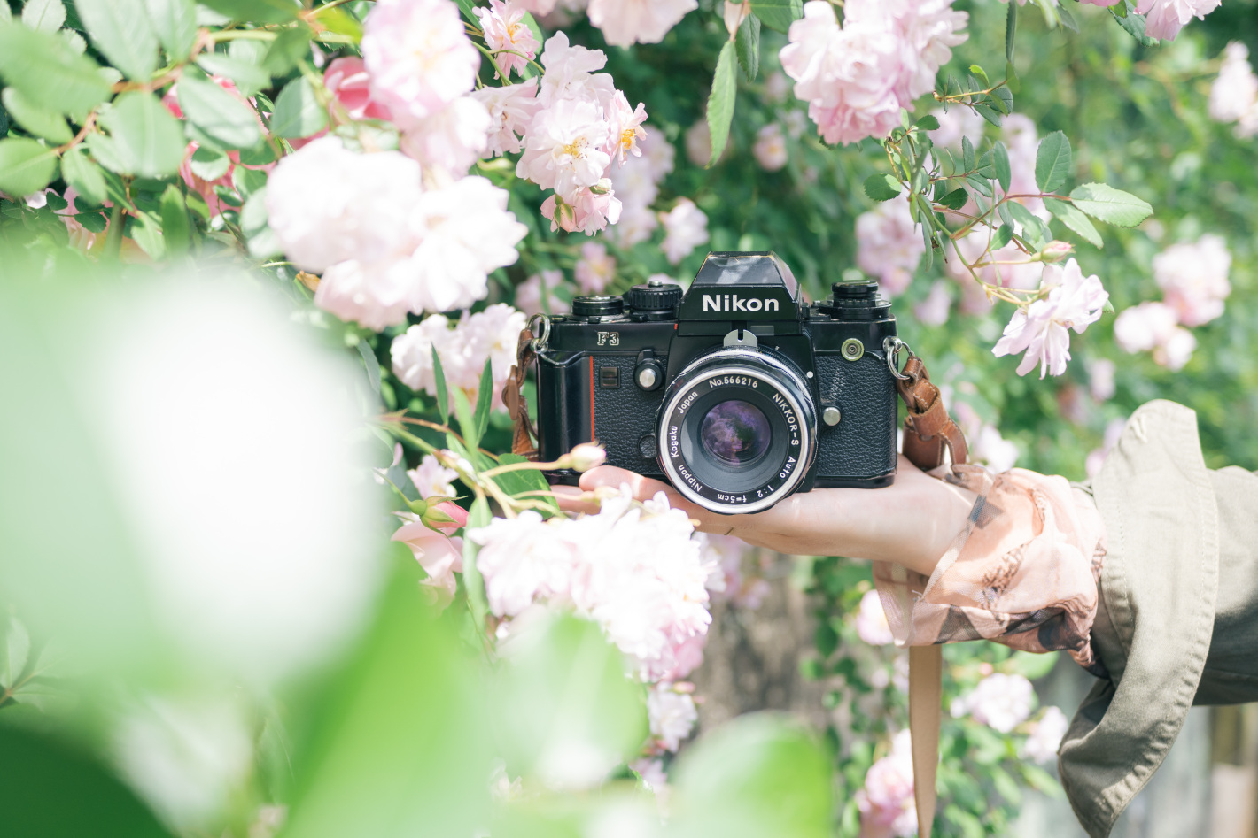 【熱海】花・海・レトロな街を巡る旅 - フィルムとデジタル、二人のフォトグラファーが写し出す熱海の魅力