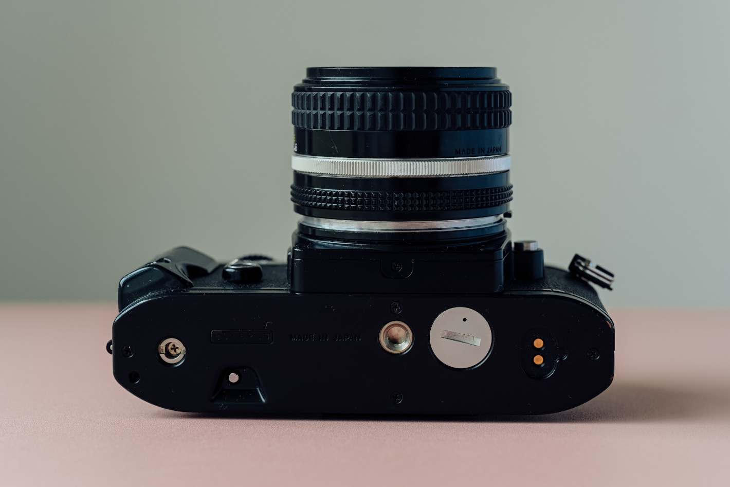Nikonのフィルムカメラ9種撮り比べ – フォトグラファーが撮影し Nikonのフィルムカメラ9種撮り比べ – フォトグラファーが撮影し