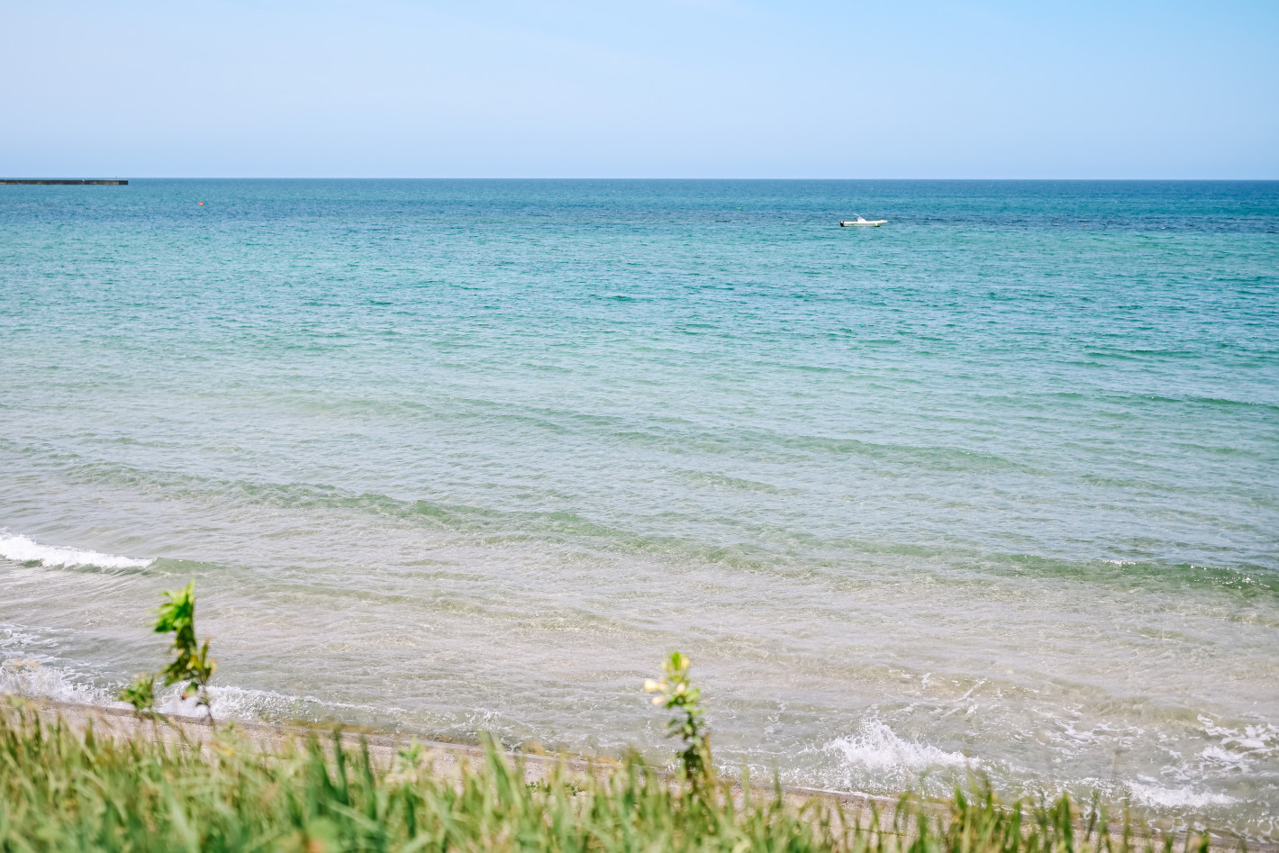 Z f、NIKKOR Z 40mm f/2（SE）