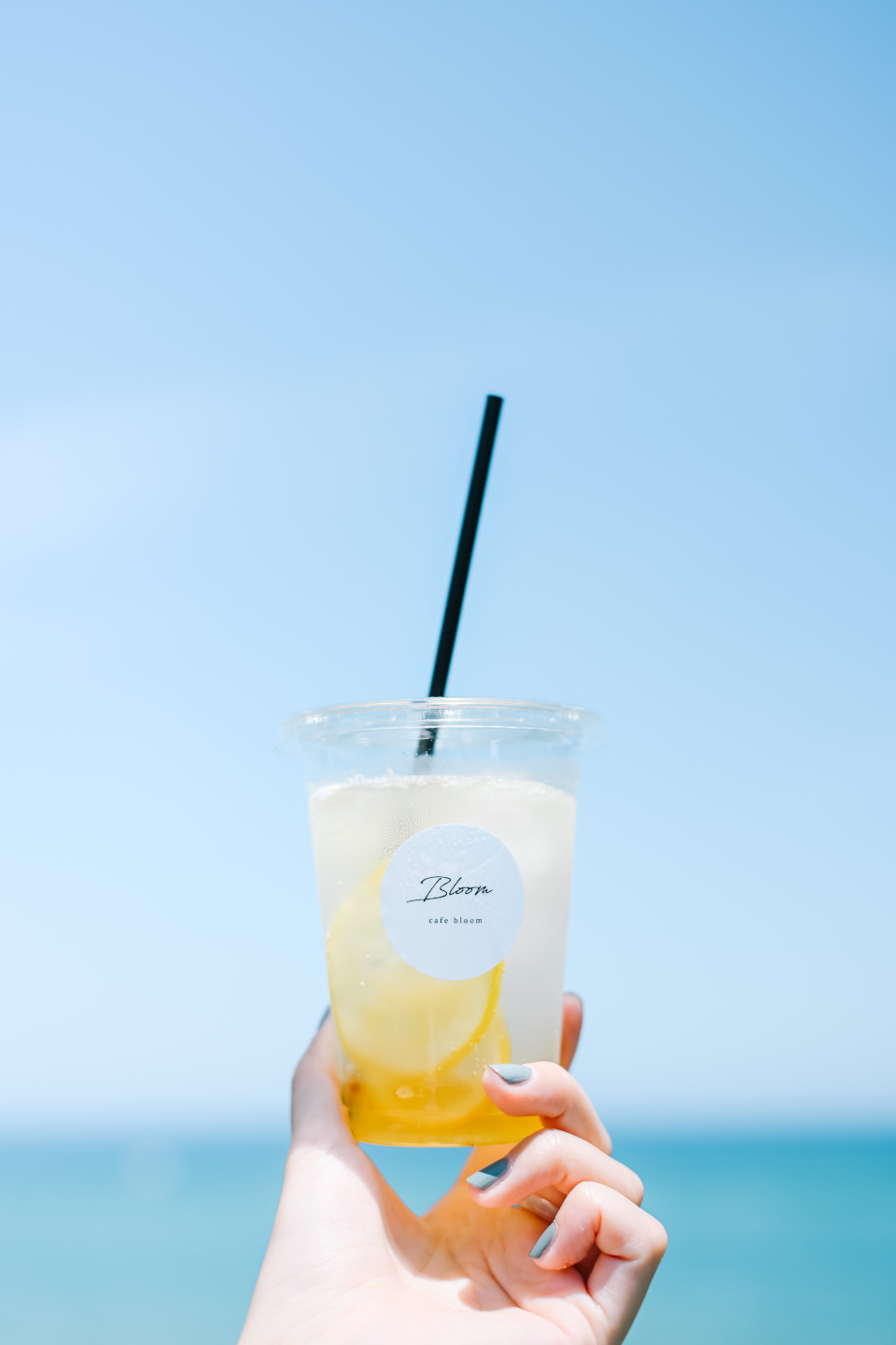 Z f、NIKKOR Z 40mm f/2（SE）