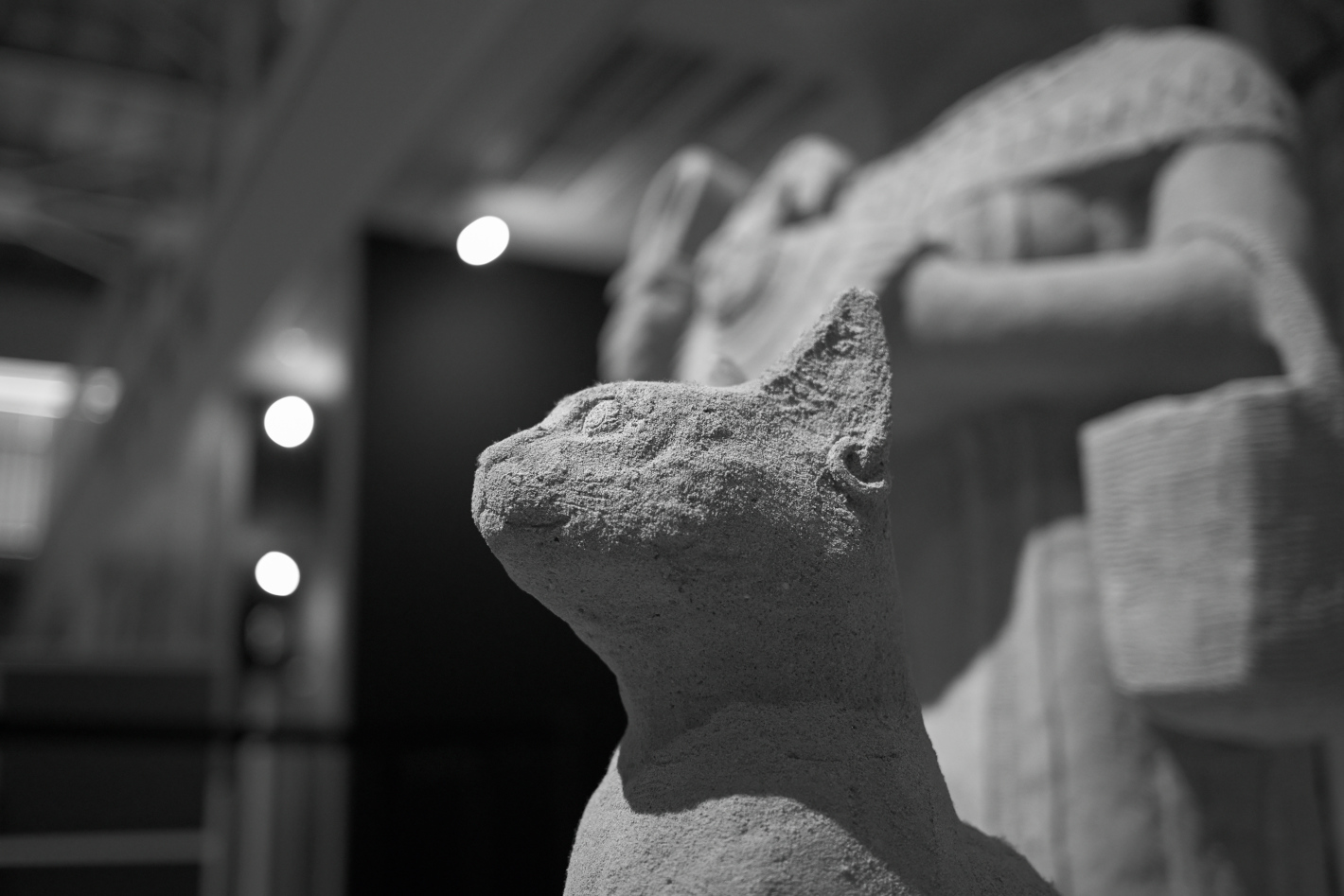 Z f、NIKKOR Z 40mm f/2（SE）