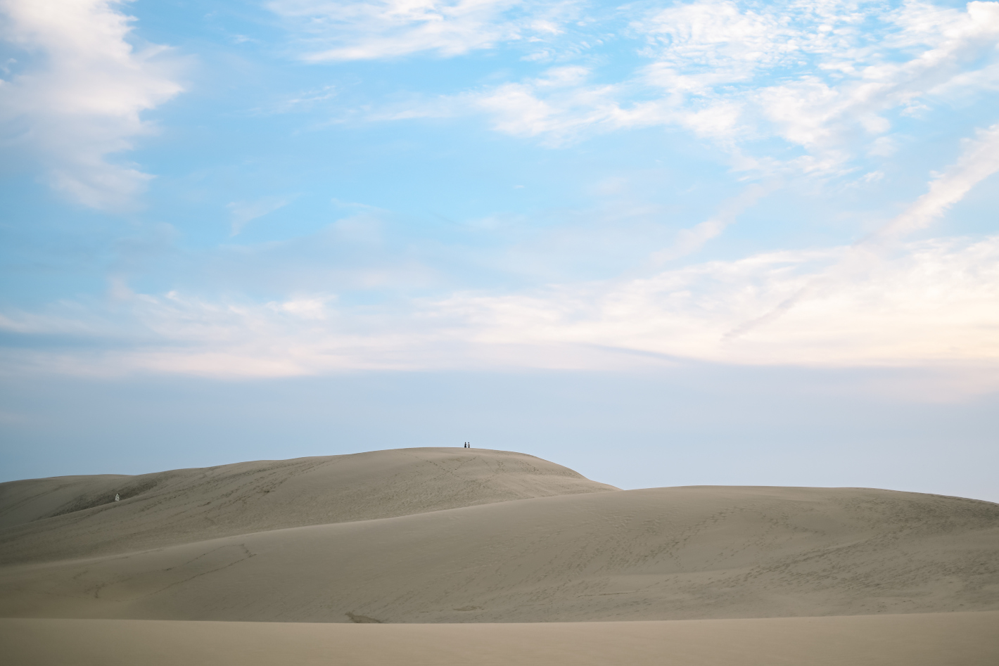 Z f、NIKKOR Z 40mm f/2（SE）