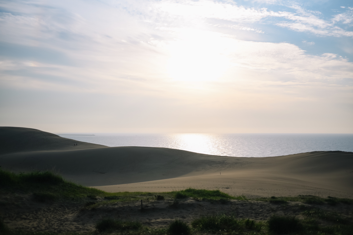 Z f、NIKKOR Z 40mm f/2（SE）