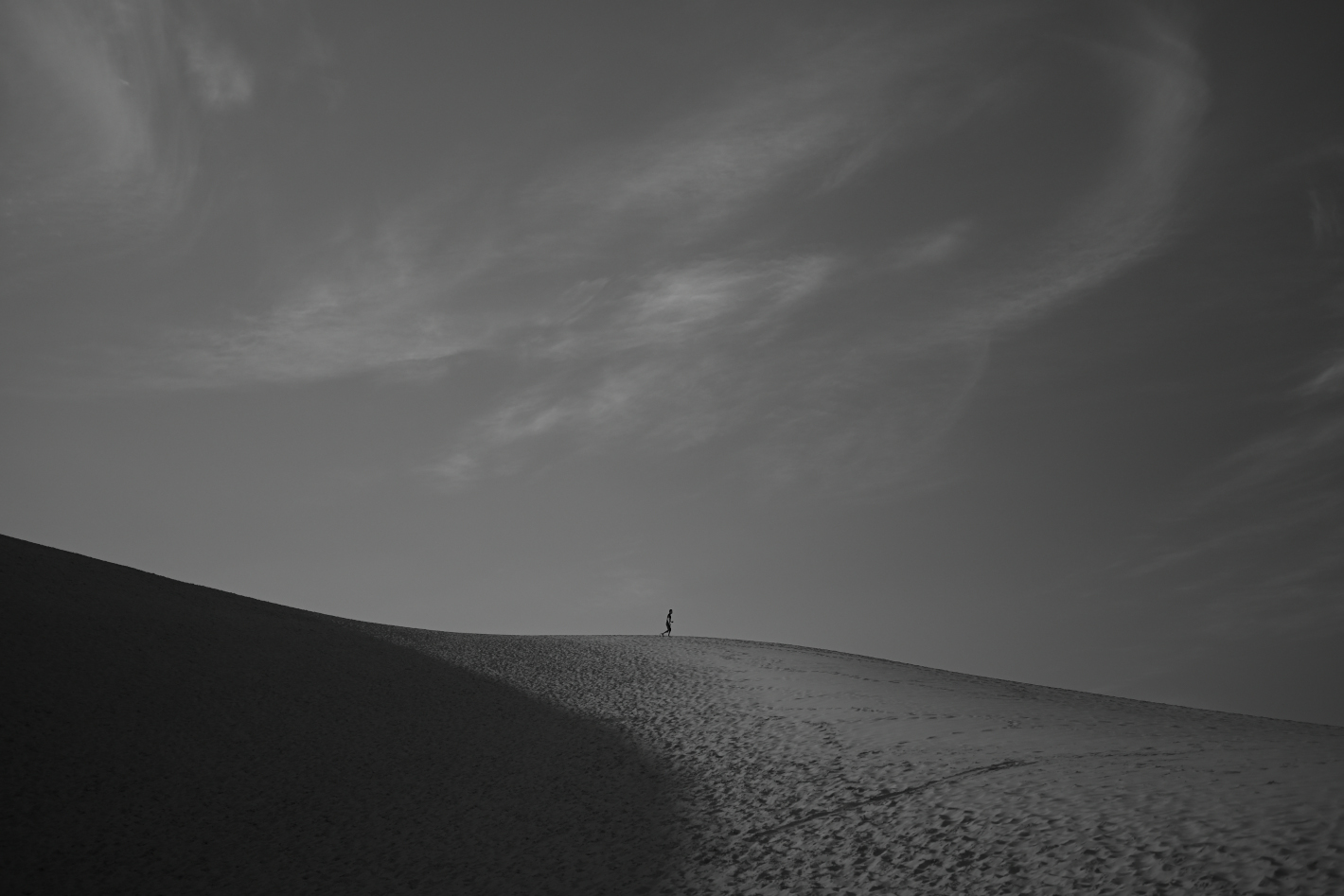 Z f を手に巡る鳥取旅 – 鳥取砂丘、植田正治写真美術館、花回廊…１泊２日で巡る11スポット
