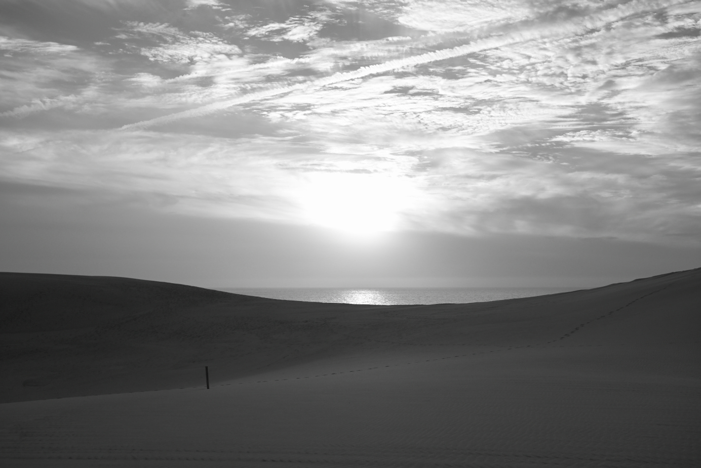 Z f を手に巡る鳥取旅 – 鳥取砂丘、植田正治写真美術館、花回廊…１泊２日で巡る11スポット