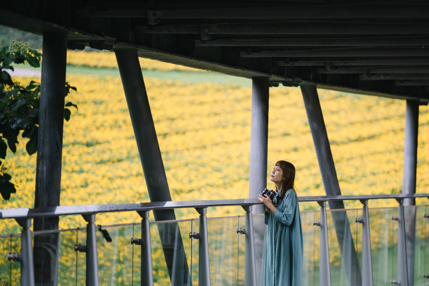 Z f を手に巡る鳥取旅 – 鳥取砂丘、植田正治写真美術館、花回廊…１泊２日で巡る11スポット